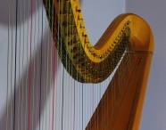 9708 Harp close up1600