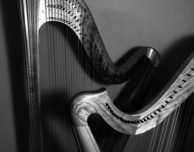 9730 Harps overlappedBW